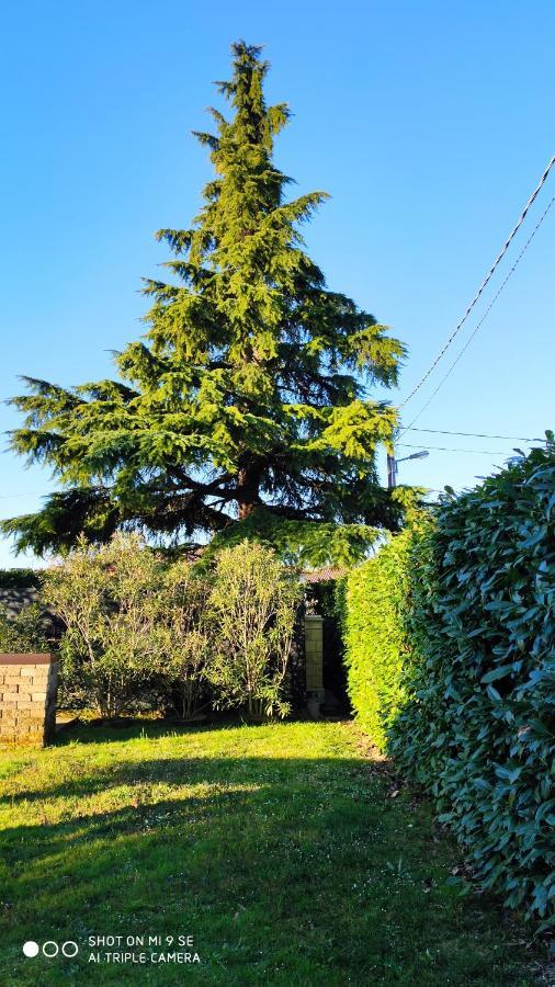 Bed & Breakfast Il Cedro San Pier d'Isonzo